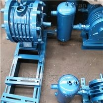 污水处理回转鼓风机