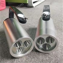 BZY7200C隧道檢修應(yīng)急照明帶紅色信號(hào)閃爍燈