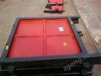 双止水铸铁闸门